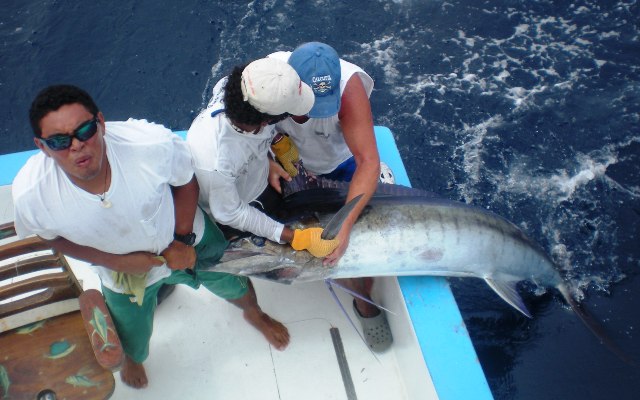 Deep Sea Fishing Charters out of Riu Guanacste Costa Rica