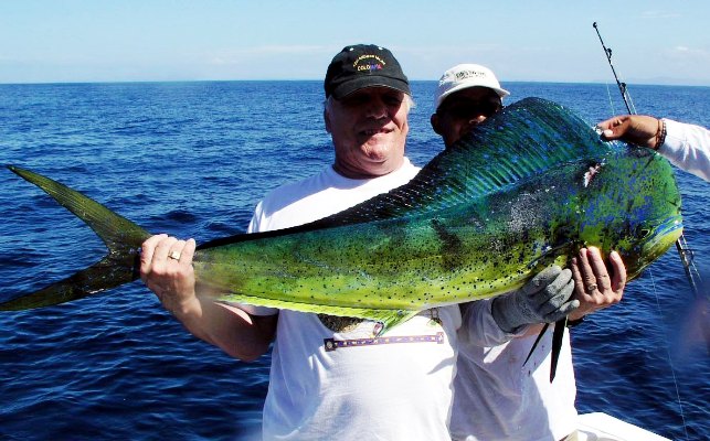 Mahi-Mahi Fishing Charters out of Playa Hermosa Guanacaste