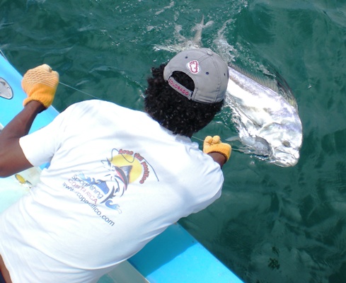 Papagayo Gulf Costa Rica Salt Water Charters