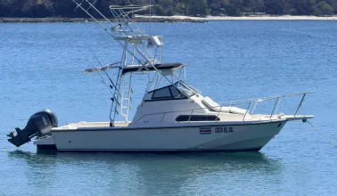 Boston Whaler 31ft fishing boat Guanacaste
